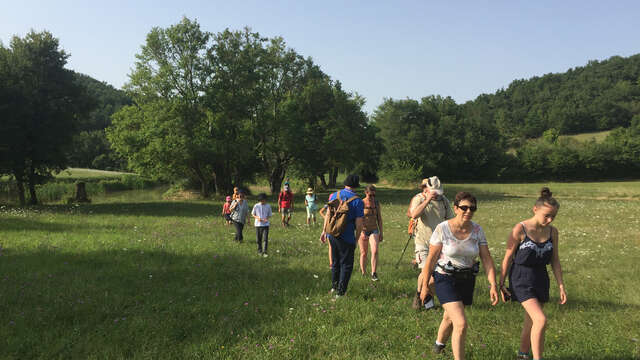 Hiking guide - Sébastien Erpelding