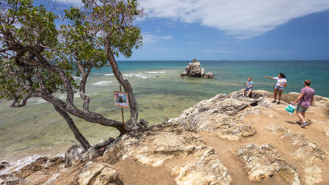 Guided tour of Nouméa - Malo Transports