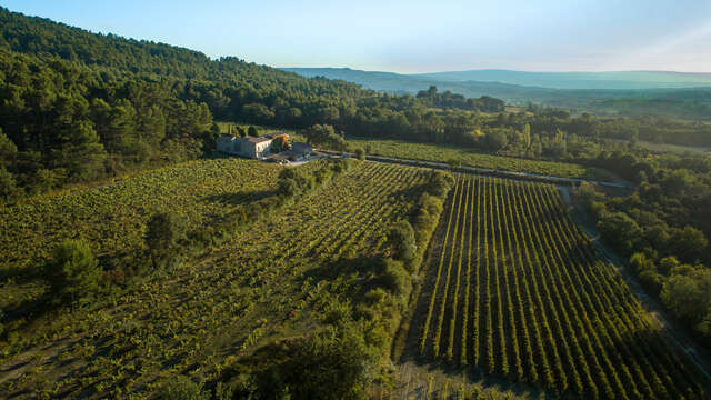 Château Saint Pons