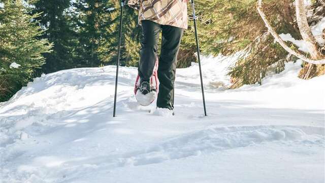 Les Mouilles snowshoe trail