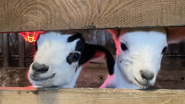Visite de la Ferme des Molières
