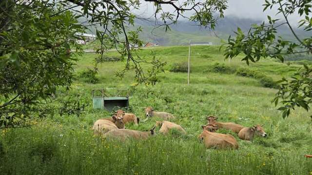 La Ferme des Sagnes