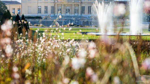 ThéArts #3 : Du bleu aux larmes