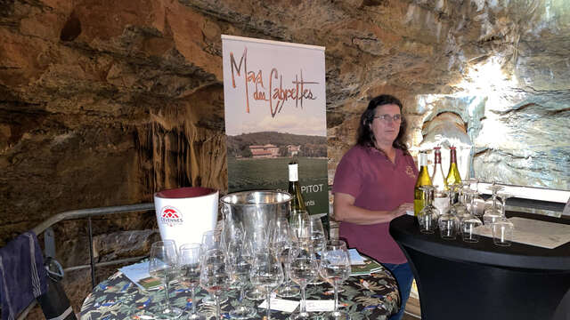 Dégustation souterraine - Vignoble en scène