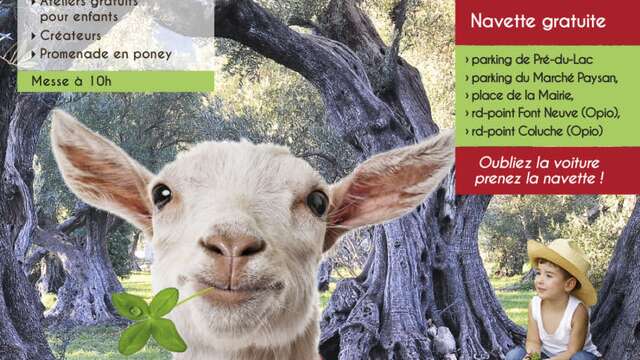 Fête Agricole du Brusc