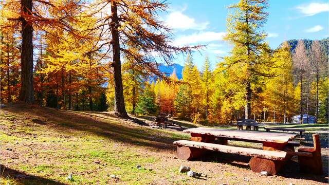 Aire de Pique Nique du Bois de Sestrières