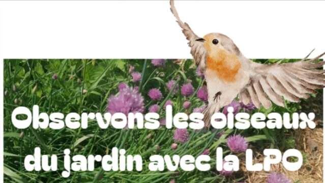 Birdwatching in giardino con l'LPO