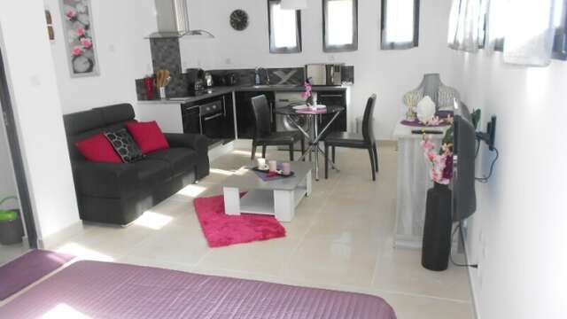 Résidence du midi - Camélia