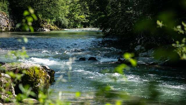 La tête à l'envers - Découverte du Massif des Bauges en visitant le milieu souterrain et sa rivière : le Chéran