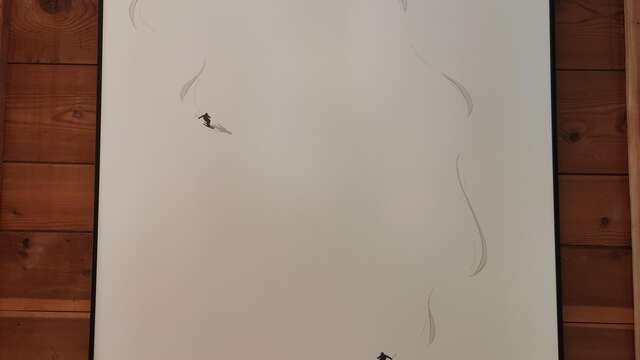 Expositions au refuge de Buffère