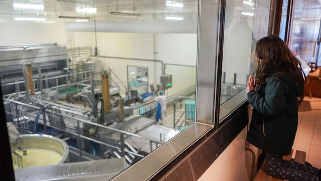 Société fromagère de Saint-Bonnet - visite guidée