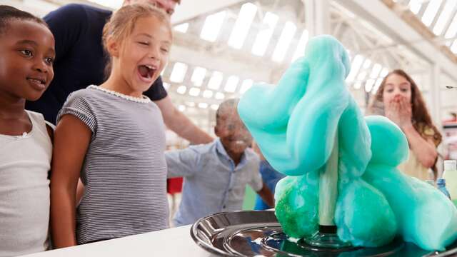 Bulles de Sciences : Les cris des Animaux