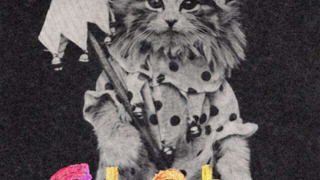 Le Chat Botté