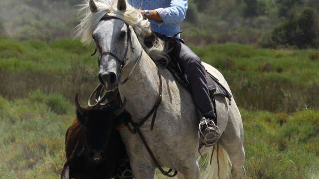 Balade en 4x4 à la manade Jacques Bon