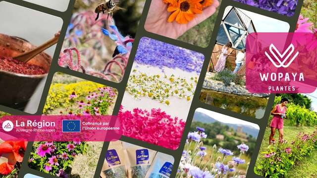 Atelier "yoga et plantes"