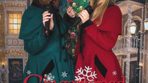 Marché de Noël à Longuenée-en-Anjou