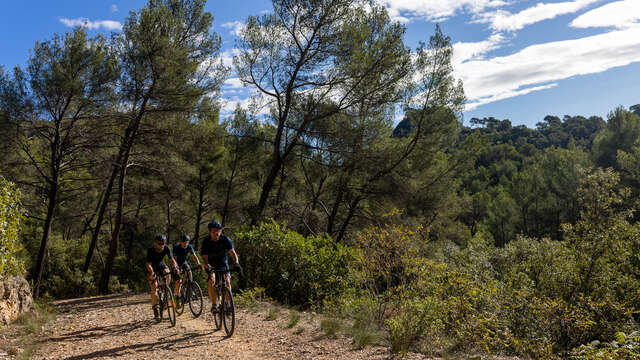 Gravel sous la Sainte-Baume