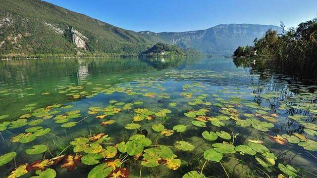 Réserve Naturelle Régionale Lac d'Aiguebelette
