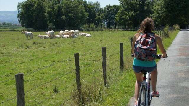 Les balades riorgeoises - L'envol