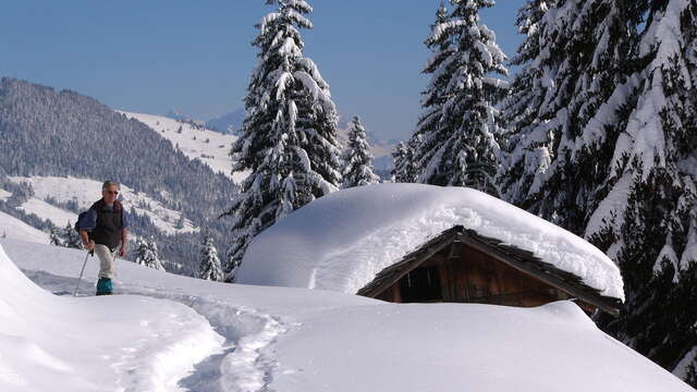 Randonnée raquettes accompagnée tous niveaux