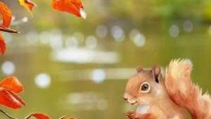 Les mercredis des Marm'eau : Eau - secours, les noisettes ont disparu parent(s) / enfant(s)