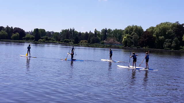 Stand-up Paddle