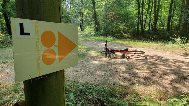 Mountain bike circuit (green) Link St Etienne du Bois base of leisure of the Grange du Pin