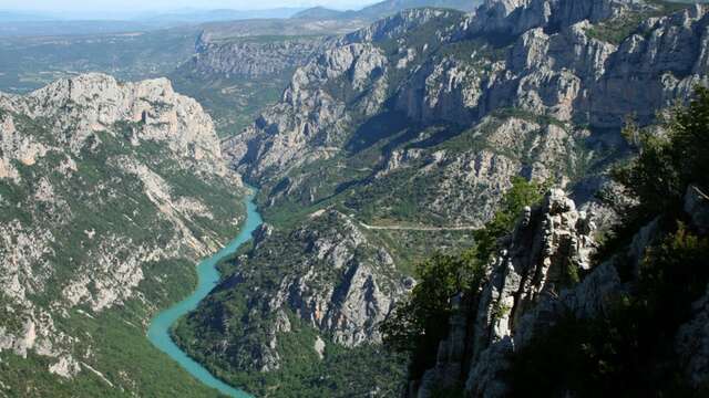 Excursion : Tour de lavande à Valensole - LT3