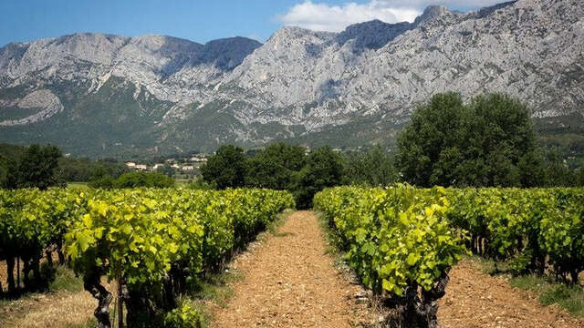 Domaine le Loup Bleu