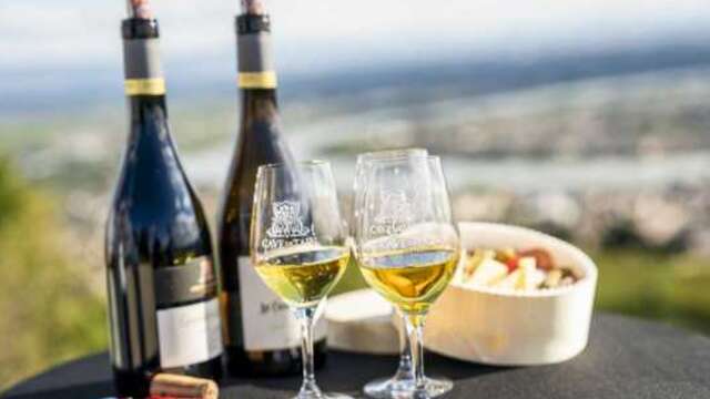 Dégustation au sommet de la Colline de l'Hermitage - Terre de Syrah