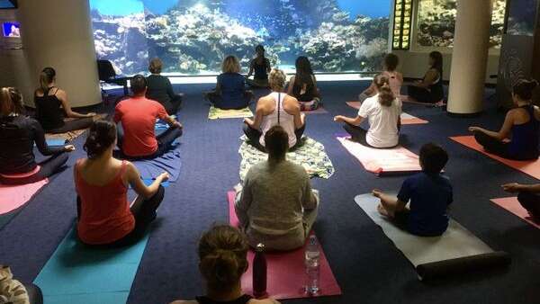 Yoga à l'Aquarium des Lagons 2025