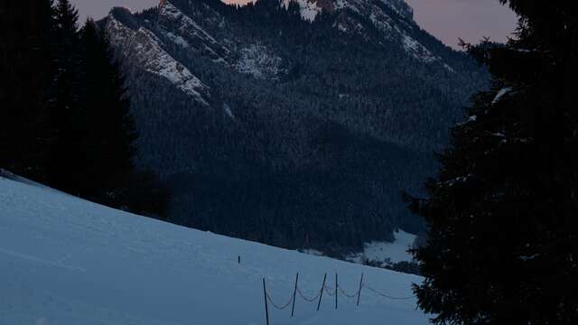 Exposition : Stat Crux Murmures de Chartreuse d'Alain Durand