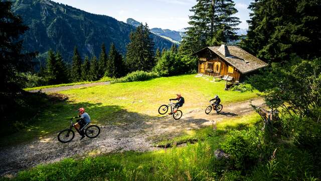 Rouge - Avoriaz - Up Hill Flow - n°21