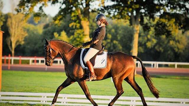Cours d'équitation (dressage, saut et cross) par les écuries du Moulin Moreau