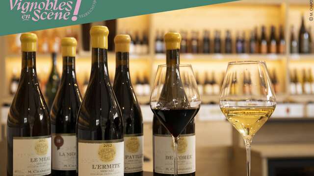 Visite de nos vignes et dégustation en accords mets et vins - Maison M. CHAPOUTIER