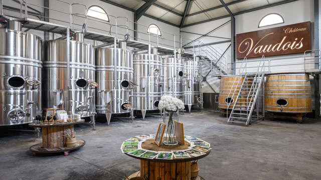 Wine Tasting Experience