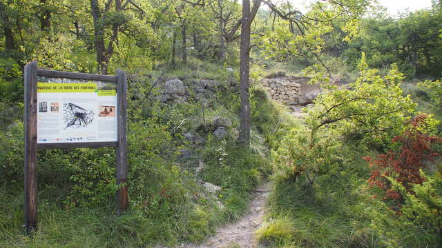 Trail La Mère des Fontaines