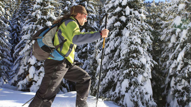 Randonnées faciles en raquettes - La Vache qui Ride