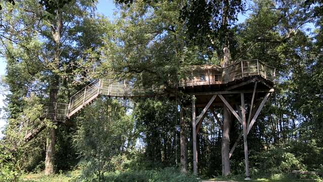 Cabane perchée des Feuilles - DDLD