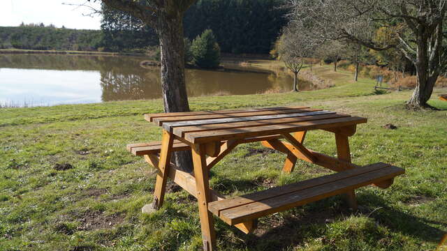 Aire de pique-nique du plan d'eau