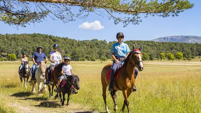 Route Napoléon à cheval : variante La Martre et Châteauvieux