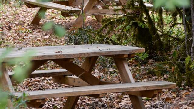 Aire de pique-nique de la Grotte du Bosc
