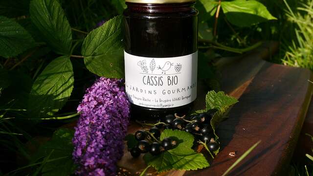 Confectionnez des confitures artisanales de fruits rouges avec Claire