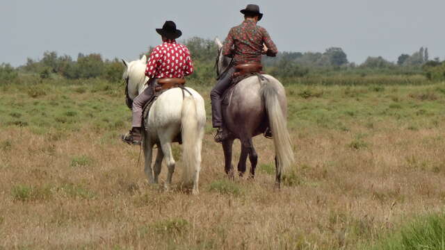 Visite à cheval à la manade Jacques bon