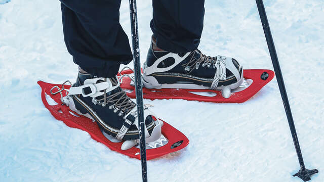 Guided snowshoe hike in the Cubourré valley with Martine Dupont
