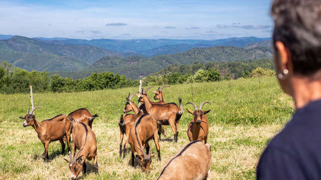 Visite de la ferme de Bellis