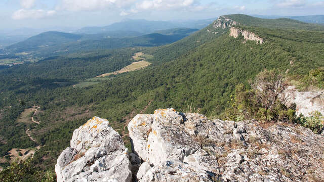 Randonnée d'observation de la nature au sommet des Barres de Cuers