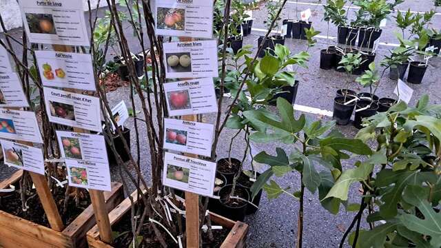 Les Pieds dans le Local®, spécial producteurs ! Visite d'exploitation : Pépinière Pep'Ain