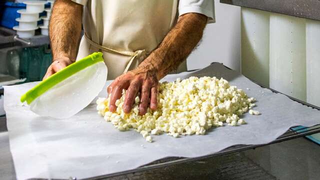 Les Ateliers : fabrication de fromage ou de beurre