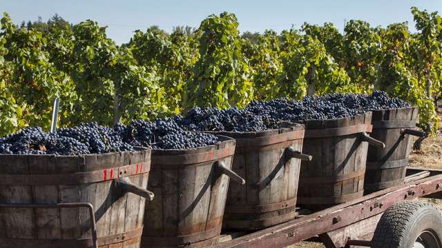 Domaine Gérard Piat